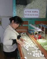 Suzhou No.1 Silk Factory Silk Making